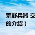 荒野兵器 交叉火力（关于荒野兵器 交叉火力的介绍）