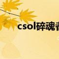 csol碎魂者（关于csol碎魂者的介绍）