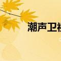 潮声卫视（关于潮声卫视的介绍）