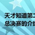 天才知道第二季总决赛（关于天才知道第二季总决赛的介绍）
