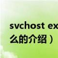 svchost exe是什么（关于svchost exe是什么的介绍）