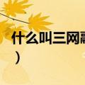 什么叫三网融合（关于什么叫三网融合的介绍）