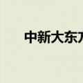 中新大东方（关于中新大东方的介绍）