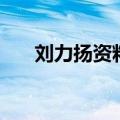 刘力扬资料（关于刘力扬资料的介绍）