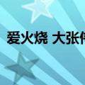 爱火烧 大张伟（关于爱火烧 大张伟的介绍）