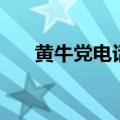 黄牛党电话（关于黄牛党电话的介绍）