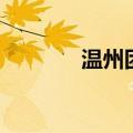 温州团（关于温州团的介绍）