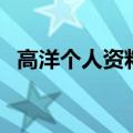 高洋个人资料（关于高洋个人资料的介绍）