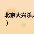 北京大兴杀人案（关于北京大兴杀人案的介绍）