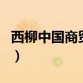 西柳中国商贸城（关于西柳中国商贸城的介绍）