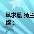 凤求凰 猗兰霓裳（关于凤求凰 猗兰霓裳的介绍）