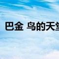 巴金 鸟的天堂（关于巴金 鸟的天堂的介绍）