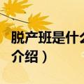 脱产班是什么意思（关于脱产班是什么意思的介绍）