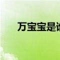 万宝宝是谁（关于万宝宝是谁的介绍）
