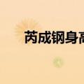 芮成钢身高（关于芮成钢身高的介绍）