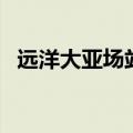 远洋大亚场站（关于远洋大亚场站的介绍）