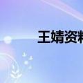 王婧资料（关于王婧资料的介绍）