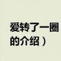爱转了一圈 金海心（关于爱转了一圈 金海心的介绍）