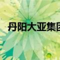 丹阳大亚集团（关于丹阳大亚集团的介绍）