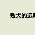 败犬的远吠（关于败犬的远吠的介绍）