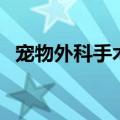 宠物外科手术（关于宠物外科手术的介绍）