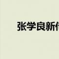 张学良新传（关于张学良新传的介绍）