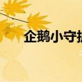 企鹅小守护（关于企鹅小守护的介绍）