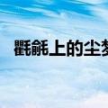 氍毹上的尘梦（关于氍毹上的尘梦的介绍）
