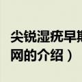 尖锐湿疣早期症状网（关于尖锐湿疣早期症状网的介绍）