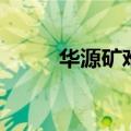 华源矿难（关于华源矿难的介绍）