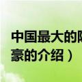 中国最大的隐形富豪（关于中国最大的隐形富豪的介绍）