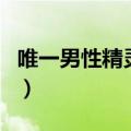 唯一男性精灵使（关于唯一男性精灵使的介绍）