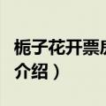 栀子花开票房统计（关于栀子花开票房统计的介绍）