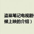 盗墓笔记电视剧什么时候上映（关于盗墓笔记电视剧什么时候上映的介绍）