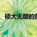 硕大无朋的朋（关于硕大无朋的朋的介绍）