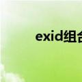 exid组合（关于exid组合的介绍）