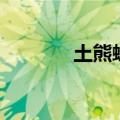 土熊蜂（关于土熊蜂的介绍）