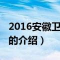 2016安徽卫视春晚（关于2016安徽卫视春晚的介绍）