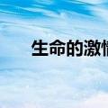生命的激情（关于生命的激情的介绍）