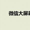 微信大屏幕（关于微信大屏幕的介绍）