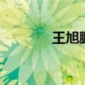 王旭鹏（关于王旭鹏的介绍）