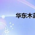 华东木蓝（关于华东木蓝的介绍）