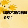 嘿真不是闹着玩的电视剧（关于嘿真不是闹着玩的电视剧的介绍）