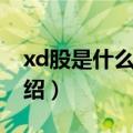 xd股是什么意思（关于xd股是什么意思的介绍）