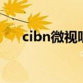 cibn微视听（关于cibn微视听的介绍）