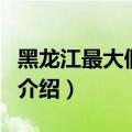 黑龙江最大假盐案（关于黑龙江最大假盐案的介绍）