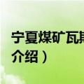 宁夏煤矿瓦斯爆炸（关于宁夏煤矿瓦斯爆炸的介绍）