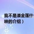 我不是潘金莲什么时候上映（关于我不是潘金莲什么时候上映的介绍）