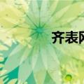 齐表网（关于齐表网的介绍）