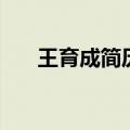 王育成简历（关于王育成简历的介绍）